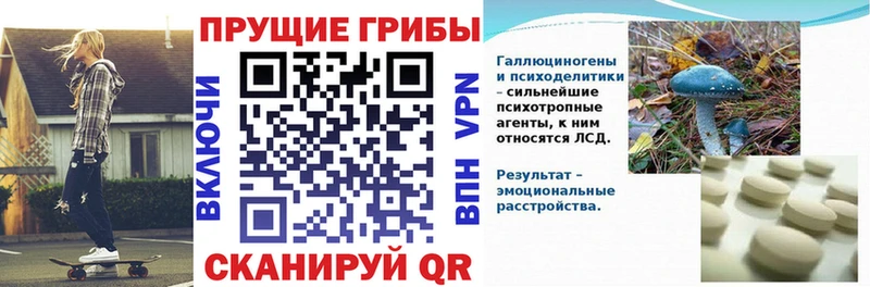 Галлюциногенные грибы мицелий  Купить  Саки 